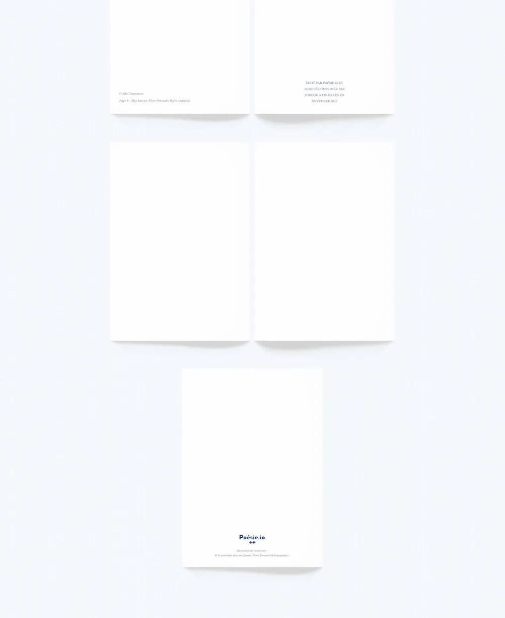 Screenshot of the editing app